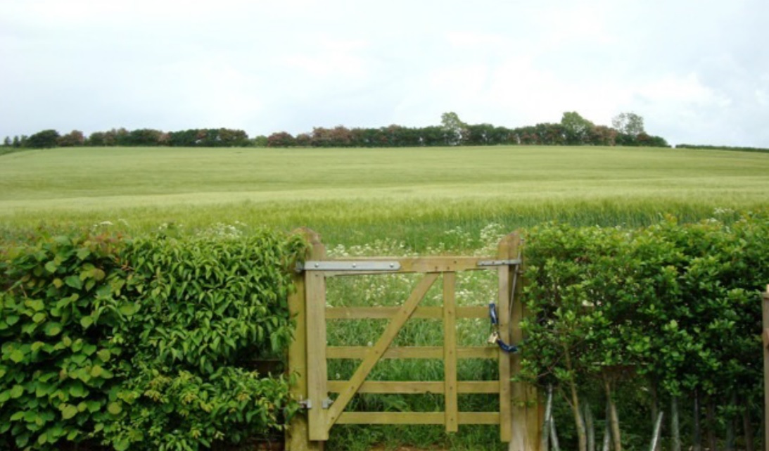 DanielSzorblog_BookoftheMonth-caption-The_spring_barley_field_that_started_it_all