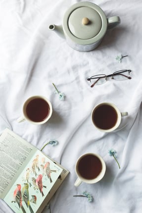 bird-book-and-tea-time